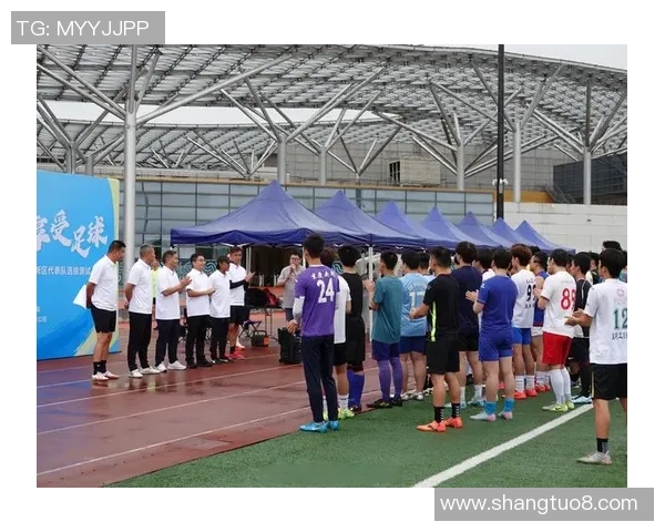 重庆足球队实力分析与数据解读探讨其在联赛中的表现与潜力