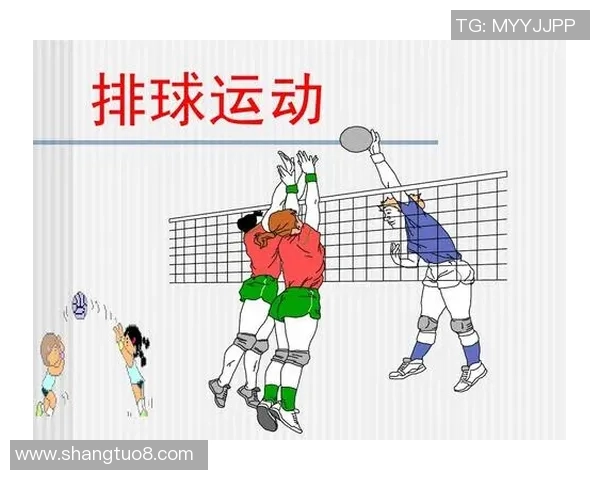 广州排球队技术分析与发展探讨聚焦排球竞技新趋势