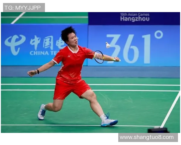 杭州羽毛球队冠军赛战术分析与表现评估全景回顾